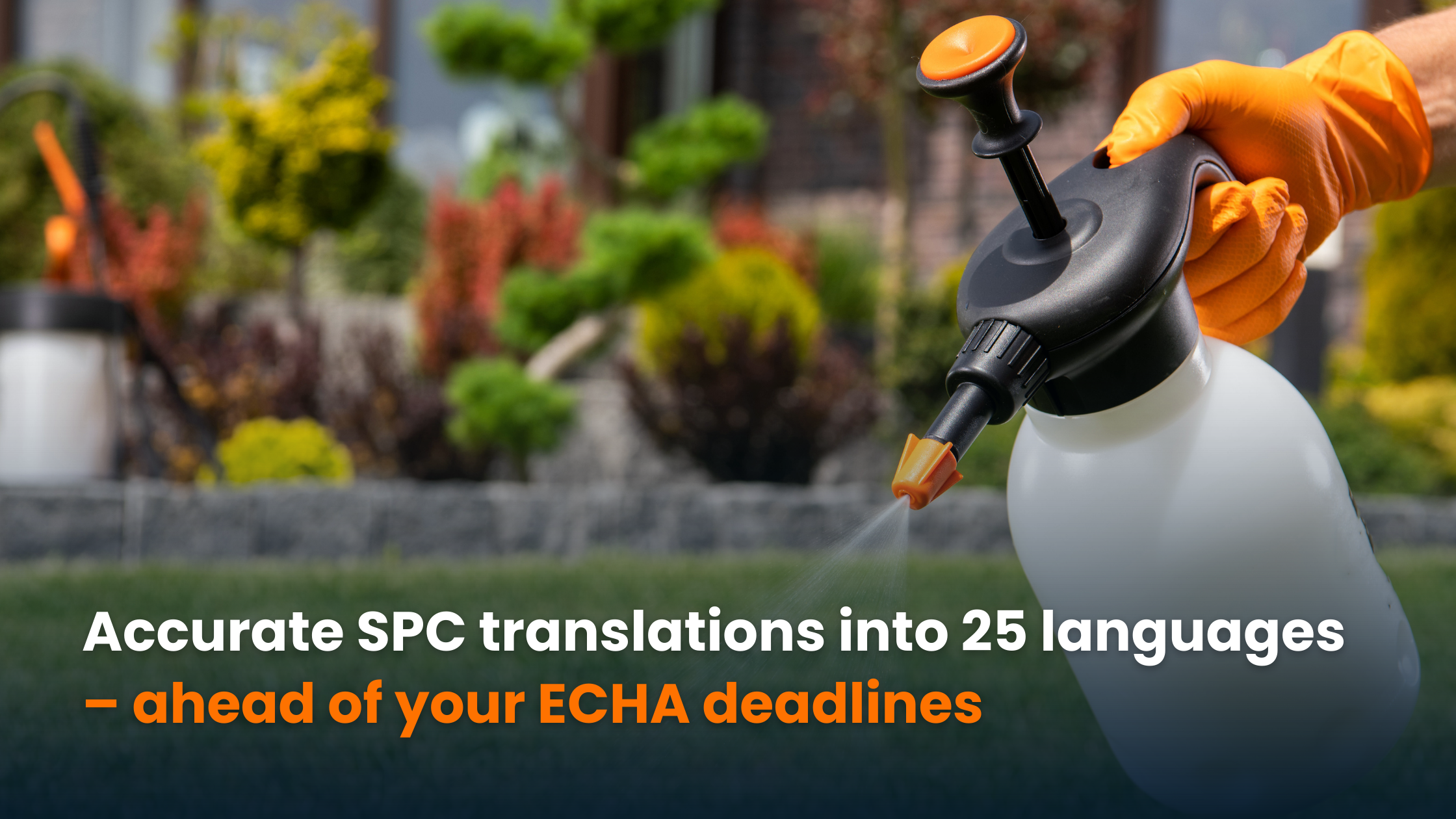 Seamless SPC Translations: Stay on Track with your ECHA Submissions