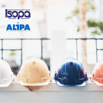 spc translation services case study