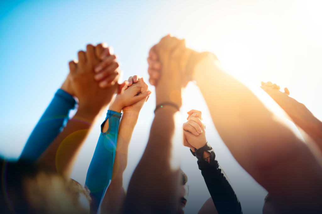 human rights documentation translation